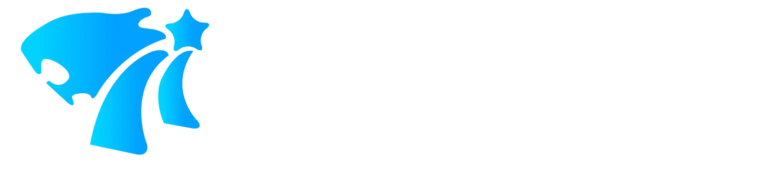 小老虎集团